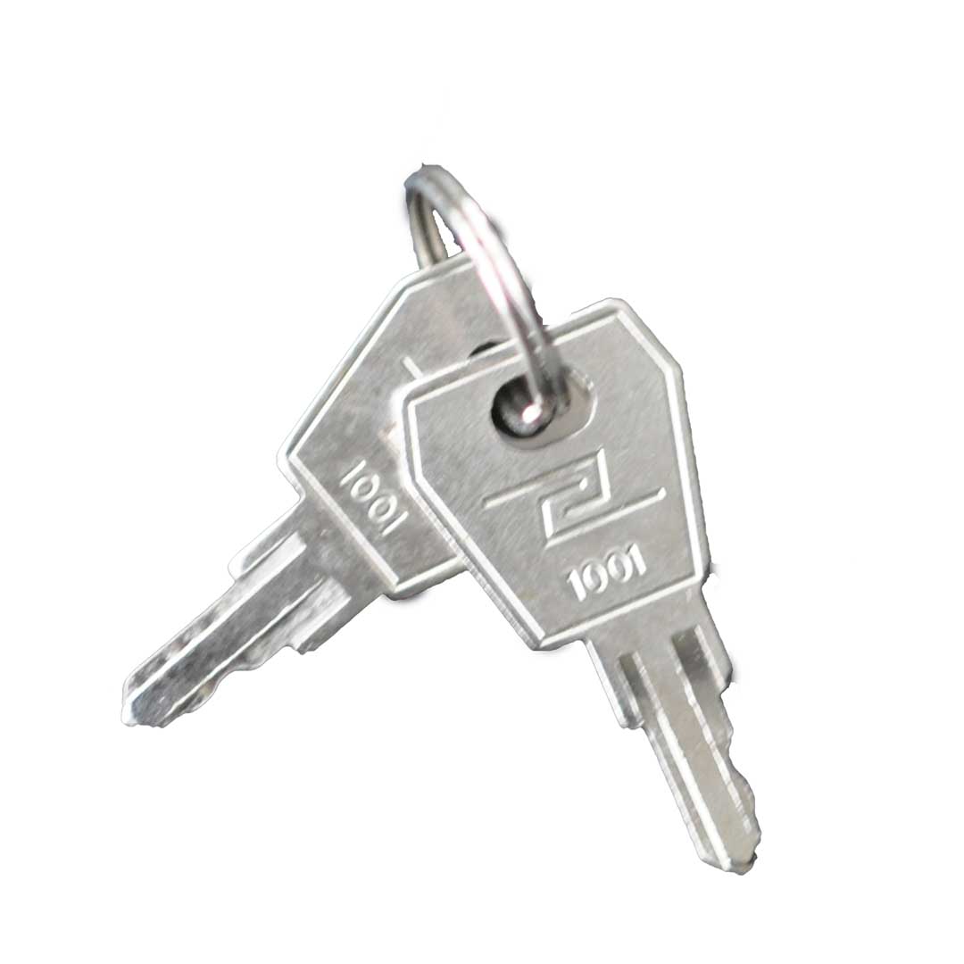 Schlüssel 1001 für Kantenverschlüsse 6188 - 2 Stück